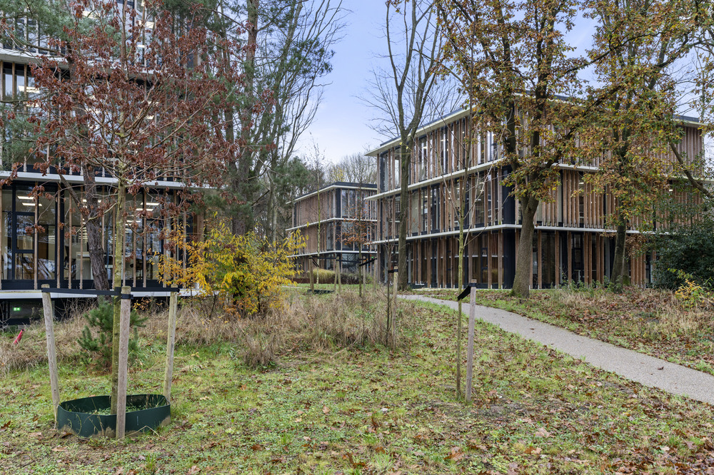 buitenruimte bij vergaderlocatie te huur bij landgoed zonneoord in Ede